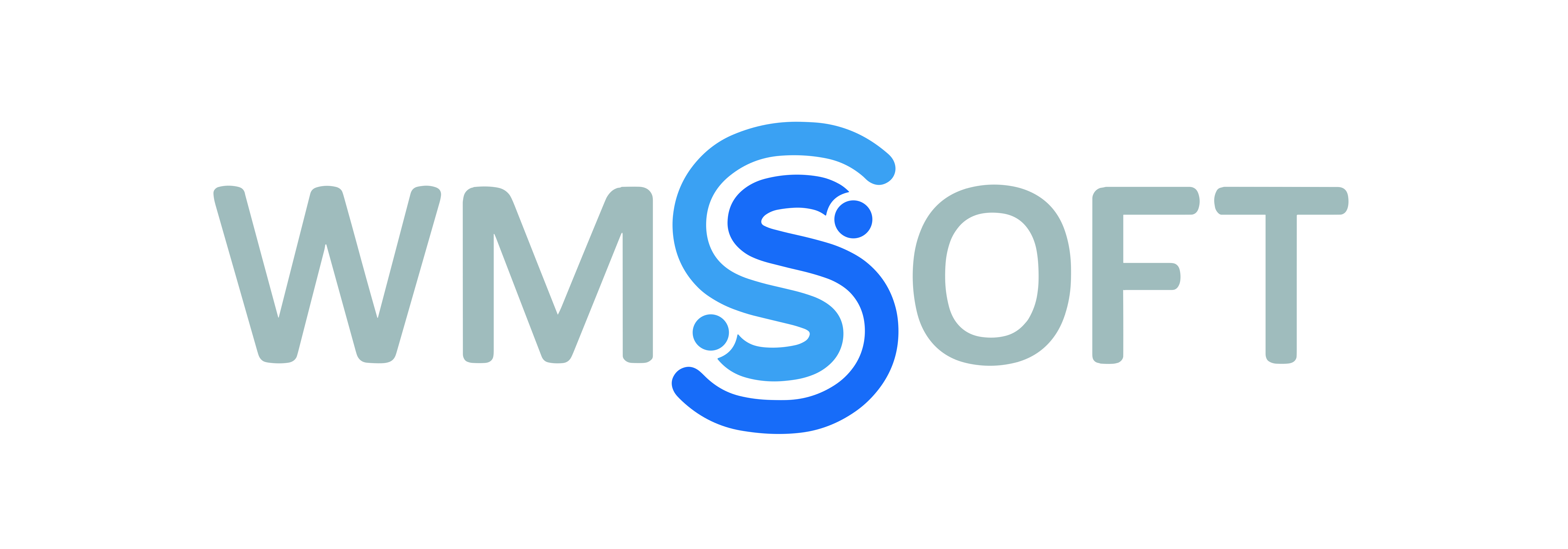 WMSSoft logo